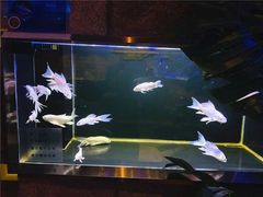 -zoonana室内动物园(东方福来德店)