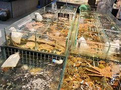 -大灶头·新昌菜(中国茶市店)