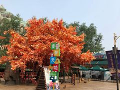 -郑州方特梦幻王国