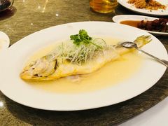-苏浙汇(朝外店)