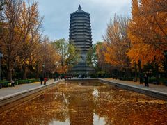 -玲珑塔公园
