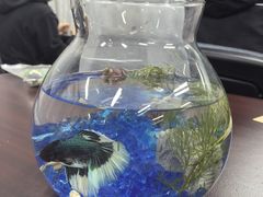 -沪东工人文化宫