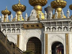 -上海东林寺(金山区)