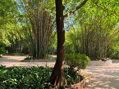 -晓港公园