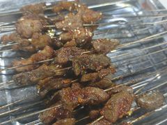-福苗小骆驼烧烤(莲湖路店)