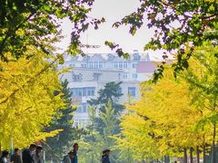 -大连理工大学(凌水校区)