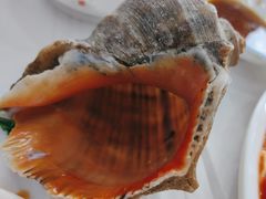-日照大牌檔•小船海鲜(万平口店)