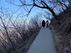 -北京西山国家森林公园