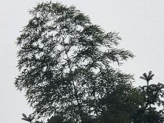 -泰宁旅游风景名胜区