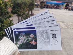 -世界恐龙谷景区