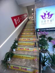 -阅年轻·AI家庭健康体质调理