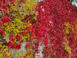 -北京科学中心儿童乐园