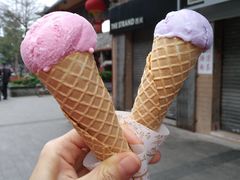 -成裕雪糕店(士多店)