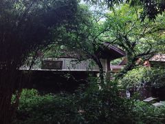 -广州兰圃