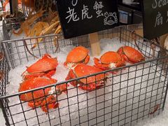 -Social 秀西餐厅-长沙瑞吉酒店(运达店)