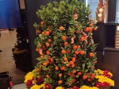 -新兴·金羊座·粤菜点心(乐峰店)