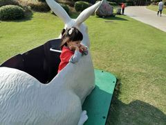 -南京银杏湖乐园