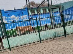 -保定市动物园