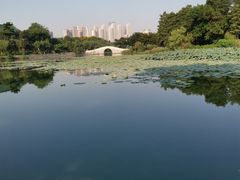 -月湖风景区