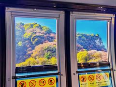 -少华山国家森林公园
