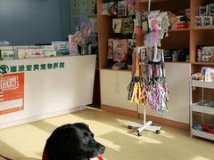 -瑞派宠物医院·中兽医专科(中央商城分院)