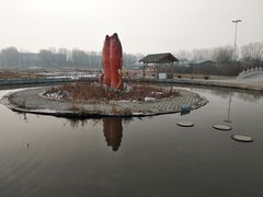 -白洋淀景区