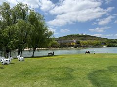 -上海佘山世茂艾美酒店