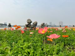 -顺峰山公园