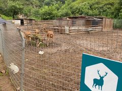 -北京山里寒舍度假酒店