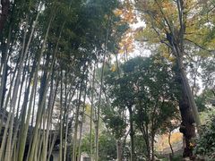 -秋霞圃