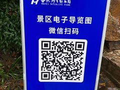 -合肥野生动物园