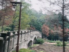 -重庆彩云湖湿地公园