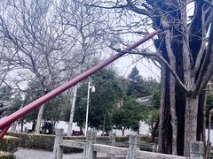 -上海佘山国家森林公园天马山园