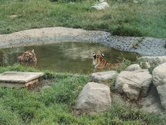 -西安秦岭野生动物园