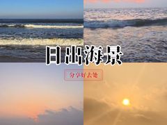 -日照海滨国家森林公园
