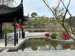 -雨花胜境