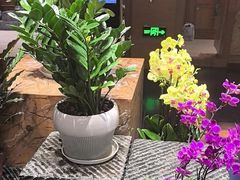 -黔蘑菇四季餐厅(观山湖店)