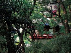 -吴山景区