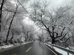 -麦积山温泉