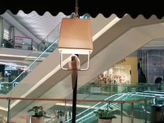 -高第街56号餐厅(凯德mall新都心店)