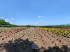 -富田农场