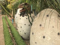 -呀路古热带植物园