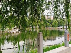 -孺子亭公园