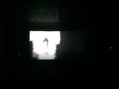 -AMG海上明珠影城(上海环球港RealDCinema店)