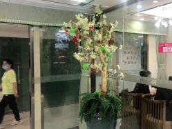 点击看大图 -芳朵美容养生SPA