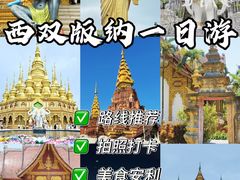 -西双版纳原始森林公园