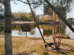 -西海子公园