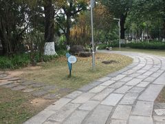 -名树园