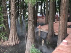 -东湖落雁景区