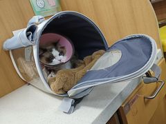 -联合动物医院(光谷诊疗中心)